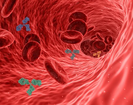 Test immunoenzimatico: che tipo di esame è? Per cosa viene usato? Test immunoenzimatico: che tipo di esame è? Per cosa viene usato?