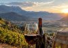 Vino rosso altoatesino: caratteristiche, territorio e abbinamenti del Lagrein